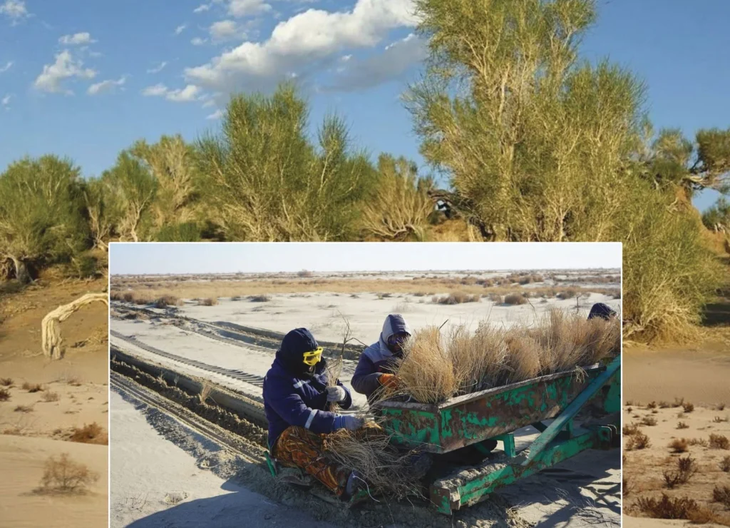 Диктің басын сору Смотреть порно видео