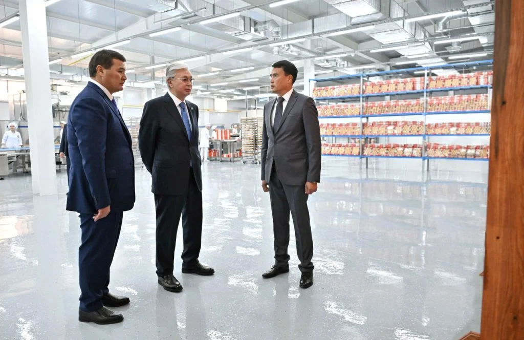 photo 5195369974171041099 y