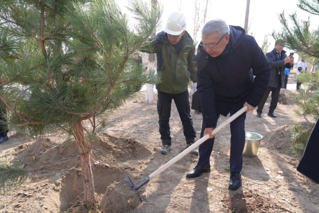 586559003 1143990897922153 6615354650464636660 n