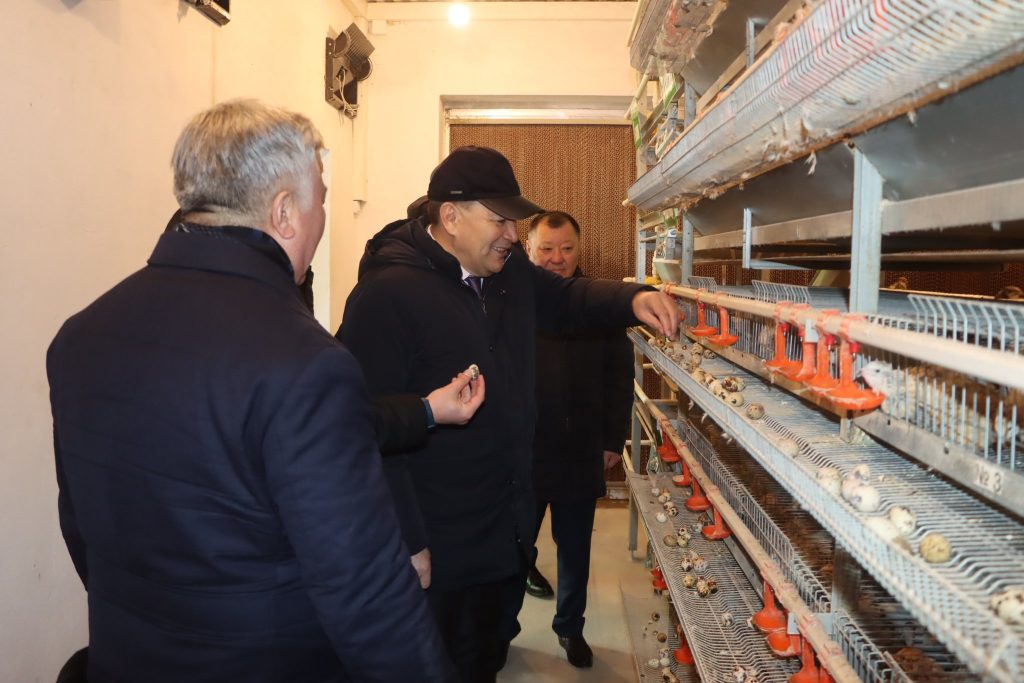 598544736 1162608362727073 2253836518251707655 n