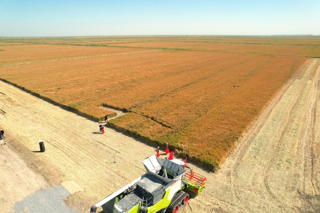 600540149 1165491112438798 4712621922924024812 n