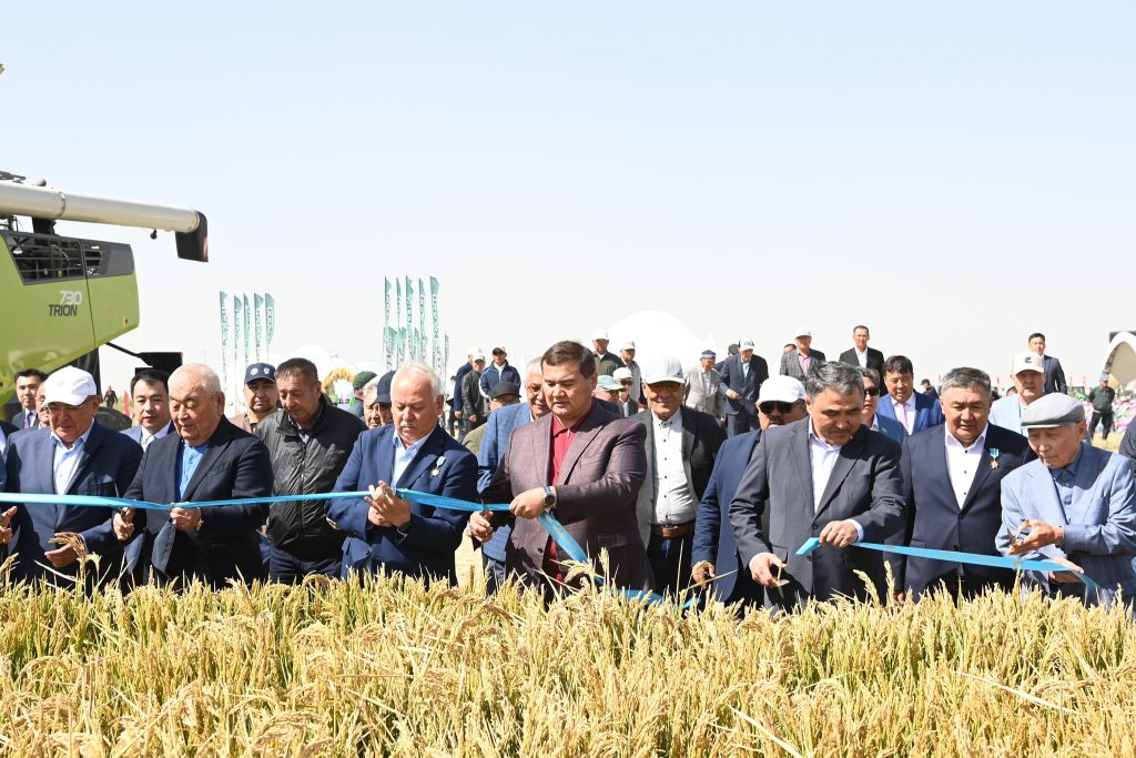 602343524 1165491315772111 1581404337861370939 n