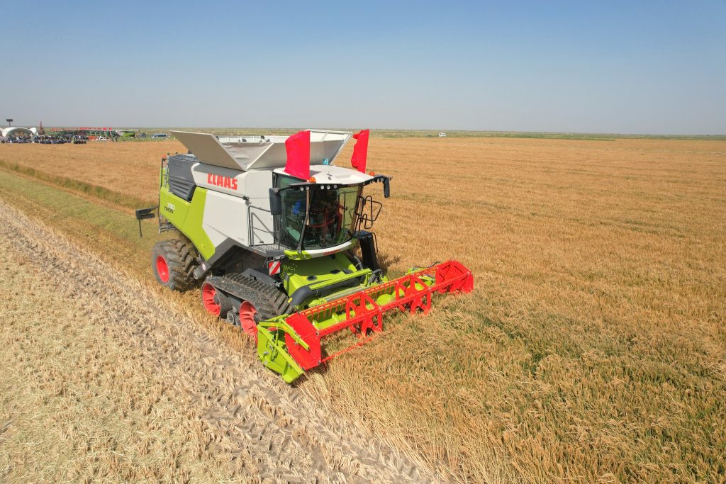 602888867 1165491105772132 435281948240950396 n