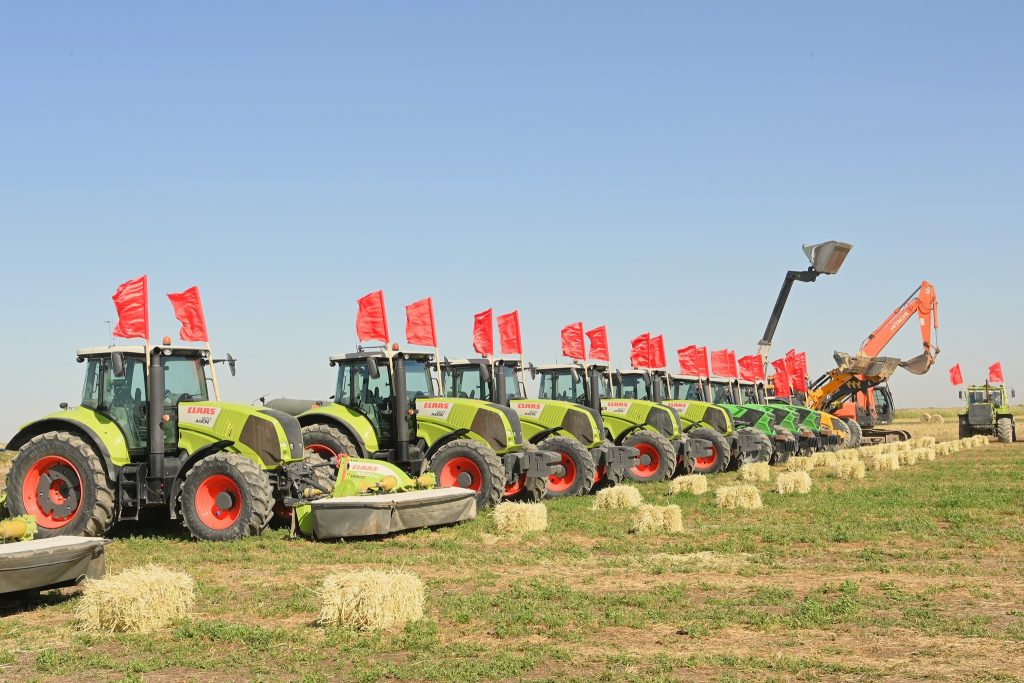 604665998 1165491035772139 7672452865388819610 n