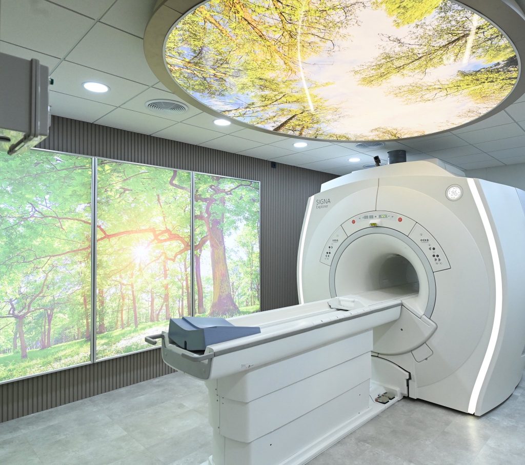 614907743 1184270807227495 6618116555447642567 n