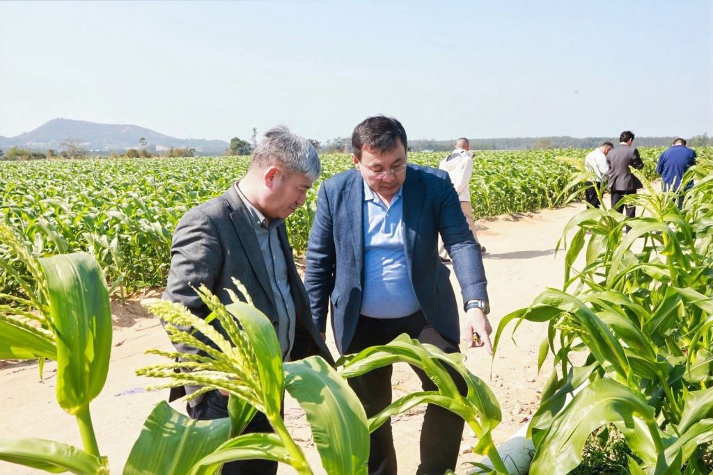 617566358 1182901297364446 1847039930661492211 n