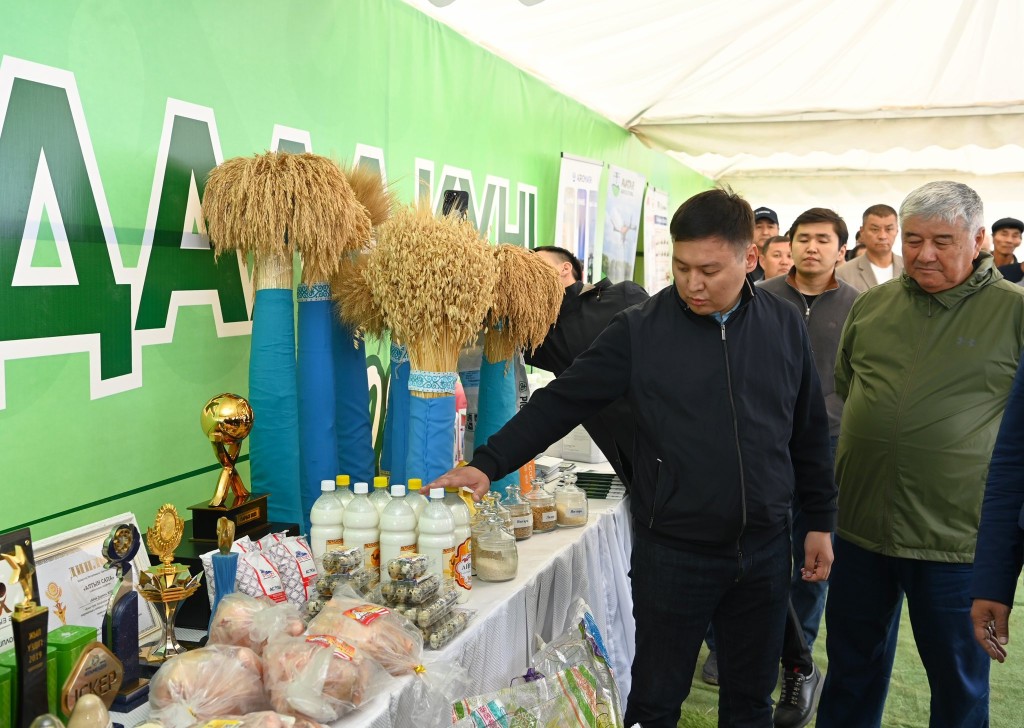 676887901 1260443876276854 1963312235116241239 n